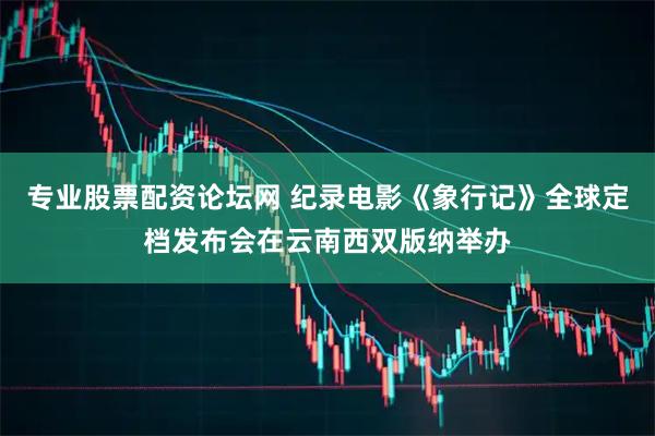 专业股票配资论坛网 纪录电影《象行记》全球定档发布会在云南西双版纳举办